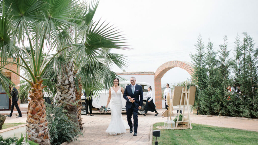 Boda en MasiadelOlivar